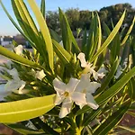 Apartment Quinta Do Sr. Cabrita *