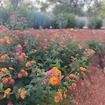 Quinta Do Sr. Cabrita * Albufeira