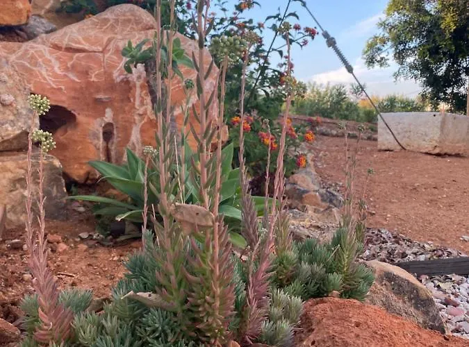 Quinta Do Sr. Cabrita 아파트 *