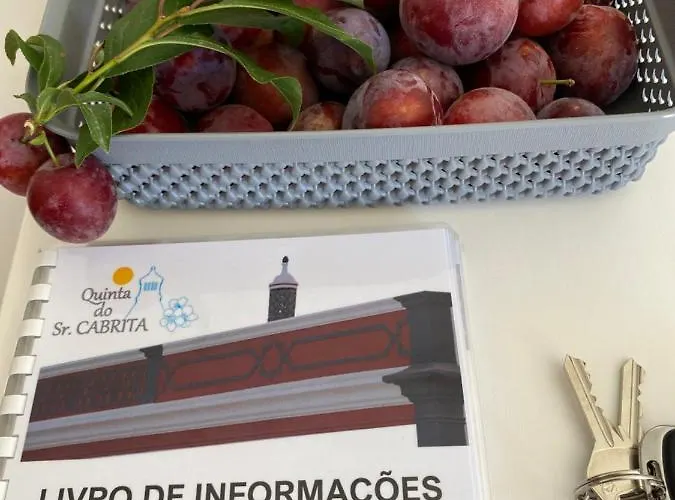 Quinta Do Sr. Cabrita 아파트 알부페이라