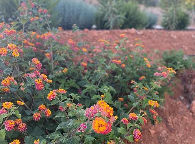 Quinta Do Sr. Cabrita * 알부페이라