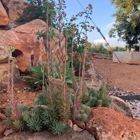 Quinta Do Sr. Cabrita Daire *