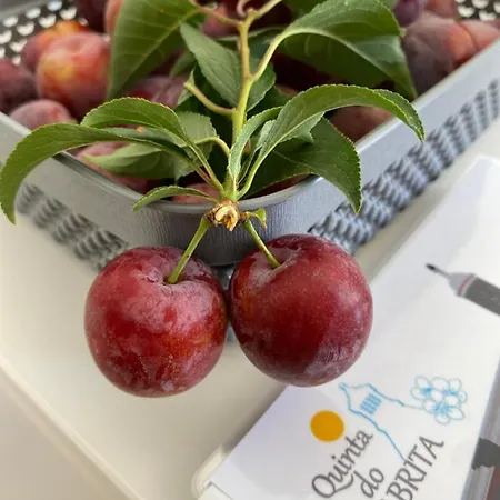 Quinta Do Sr. Cabrita *