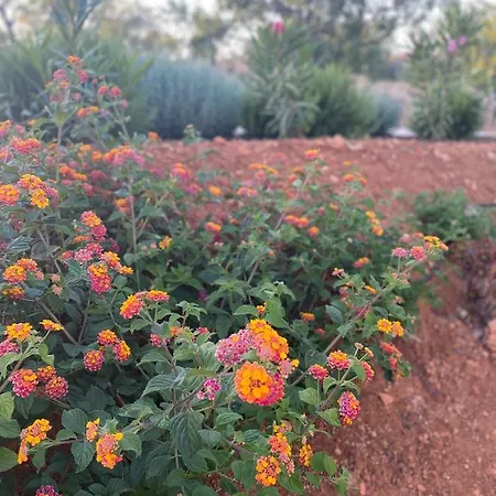 Quinta Do Sr. Cabrita * Albufeira