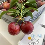 Quinta Do Sr. Cabrita *