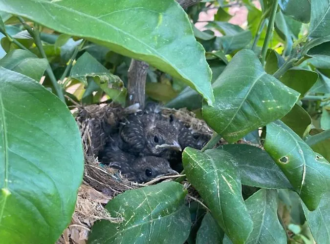 Quinta Do Sr. Cabrita Appartamento *